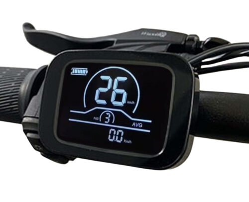 engwe display m20